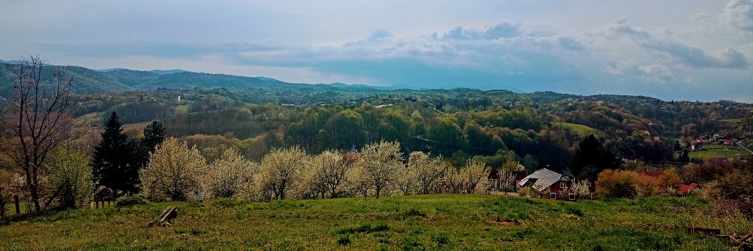 stephanie d roth banner