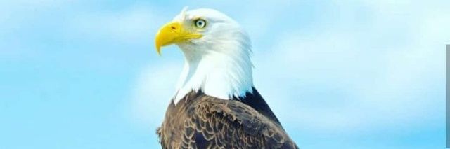 Mr_Masley's profile banner image