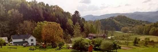 VfL StReEt GaNg banner