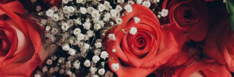 __stinee's profile banner image