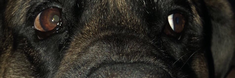 MadisonGreenwel's profile banner image