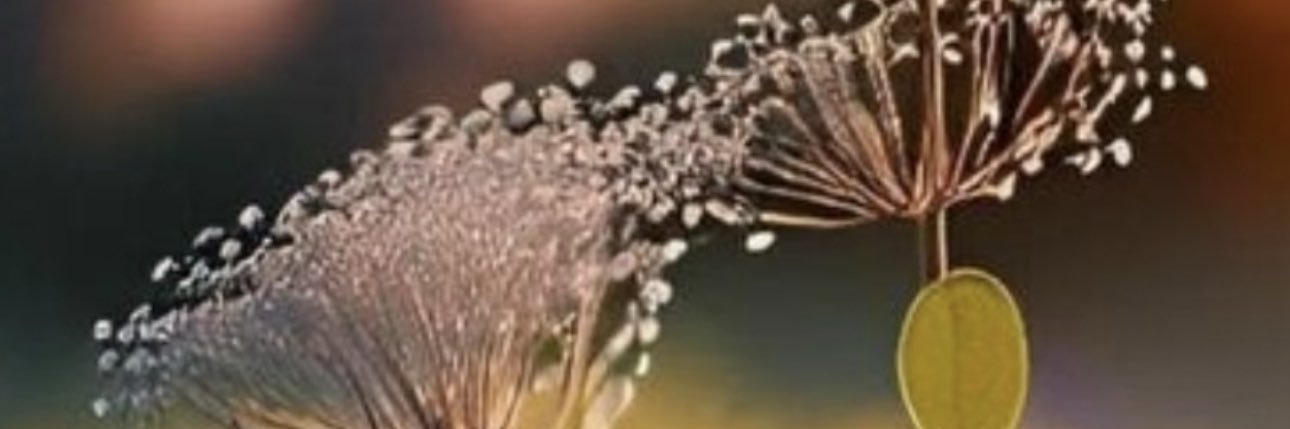 tmsnrj's profile banner image