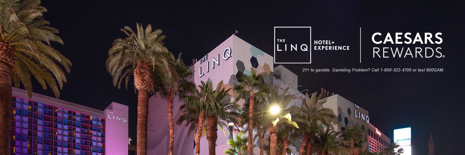 The LINQ banner