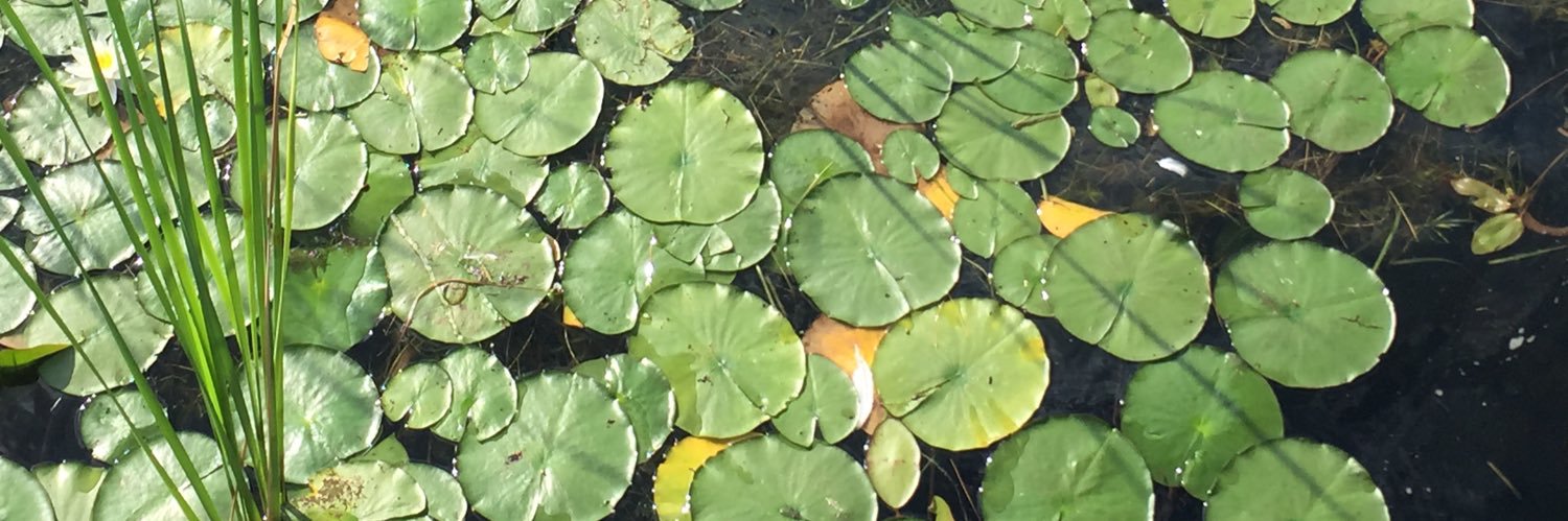 ¯\_(ツ)_/¯ banner