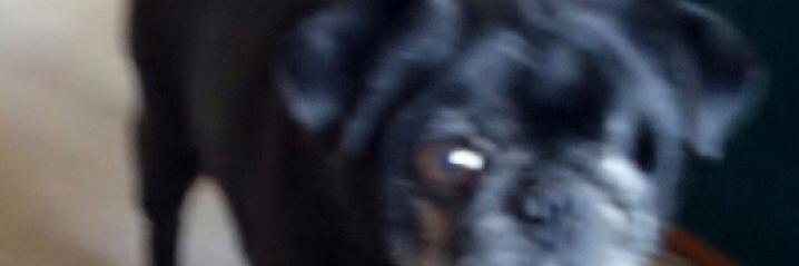 bill_riser's profile banner image