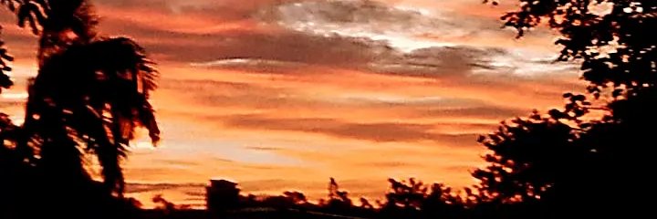 Luuni_Taa's profile banner image