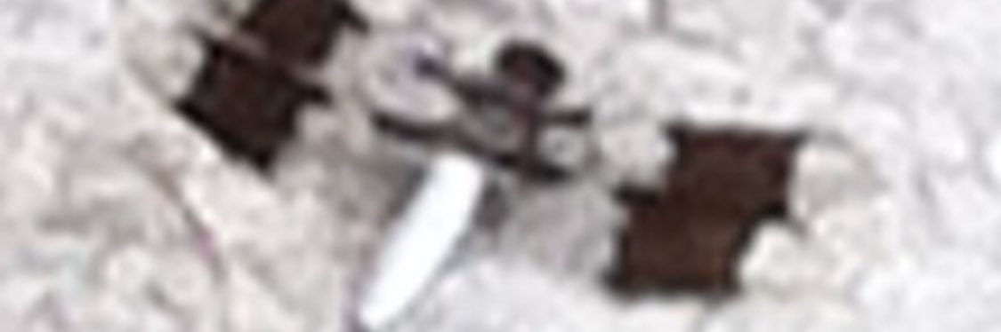 q banner