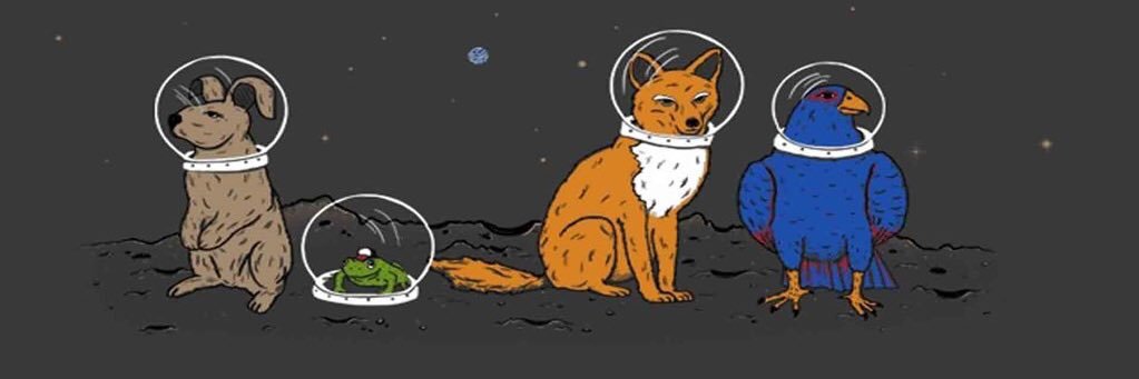 ___mcgee___'s profile banner image