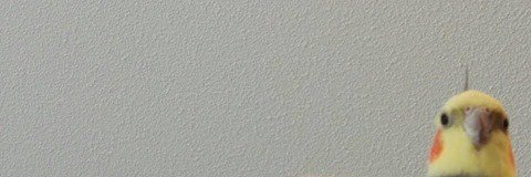 CaceresCarlaa's profile banner image