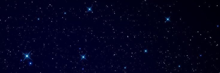 essy banner
