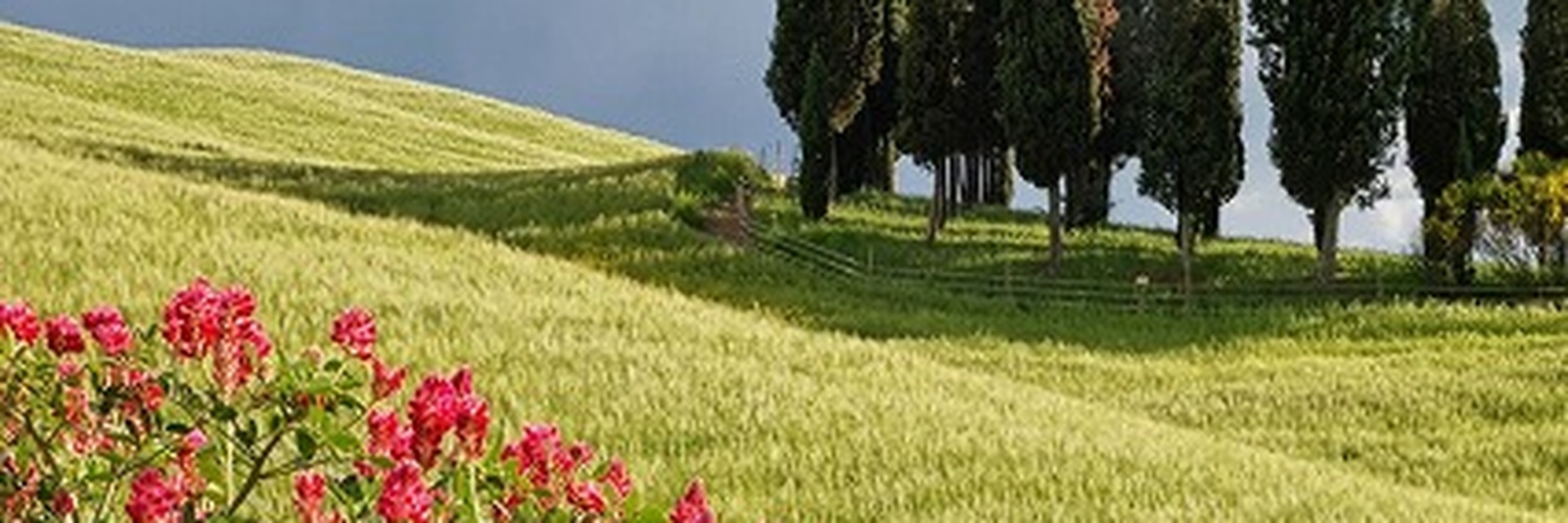 youdoorkx's profile banner image