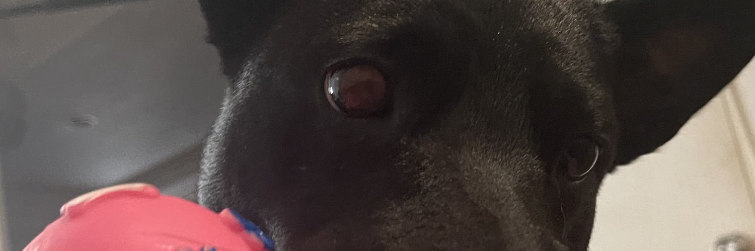 NykoRodriguez's profile banner image