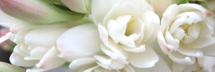 tdem61's profile banner image
