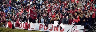 Kim Pate banner