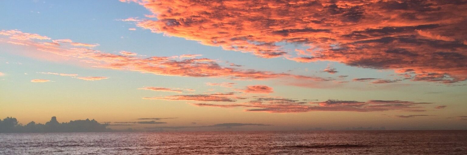 mel_nich's profile banner image