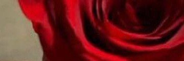 Heather06808355's profile banner image
