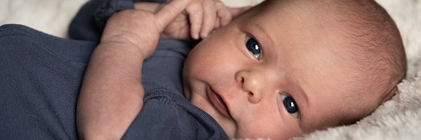 Holly_Jones4 Profile Banner