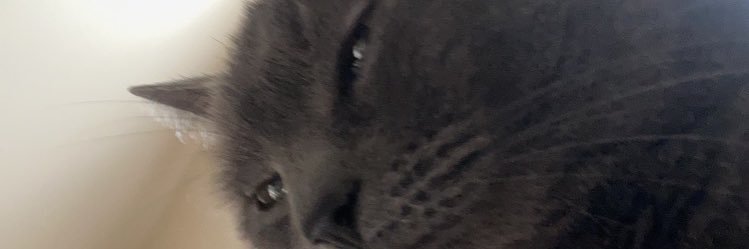 b_picc's profile banner image