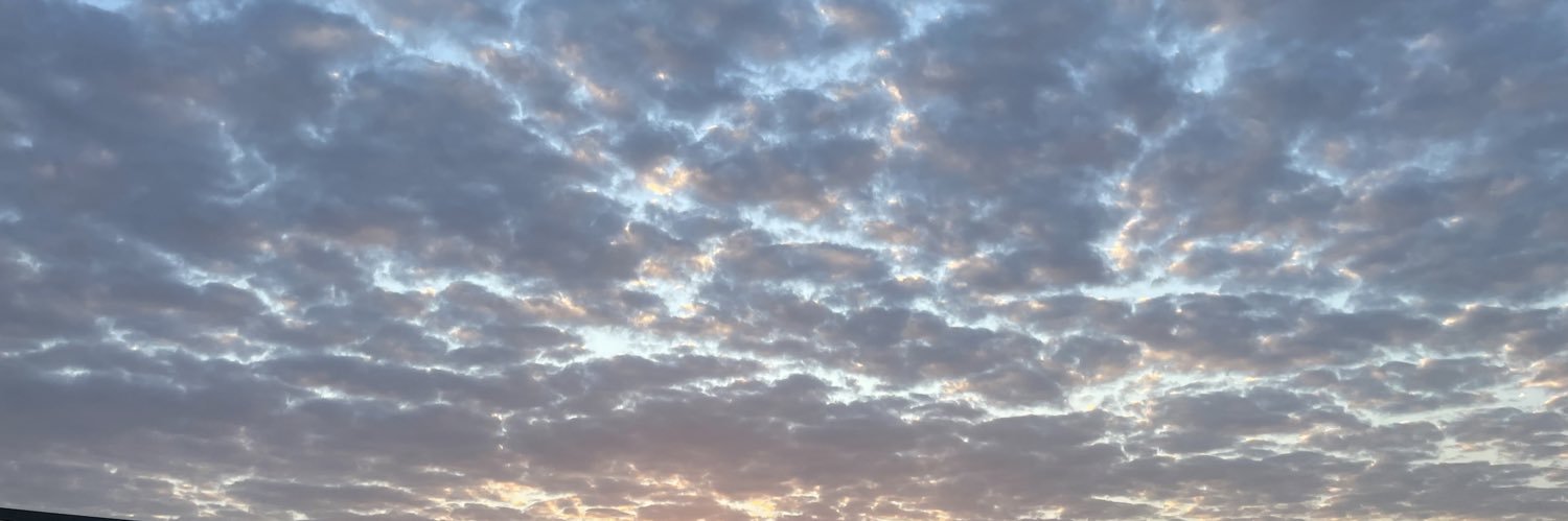 دانـيـة banner