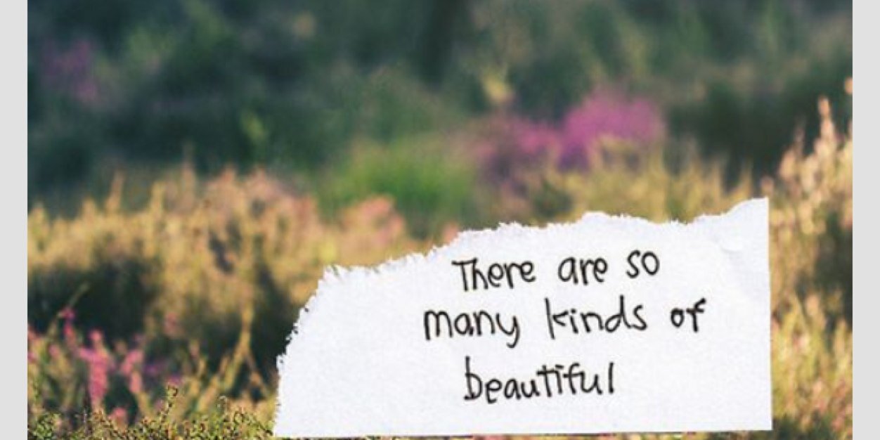cooortclutter's profile banner image