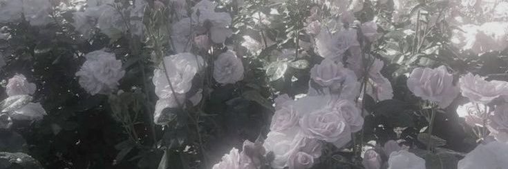 39 banner