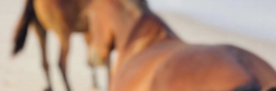 hh_mmp's profile banner image