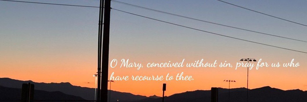 Tara ✨️ banner