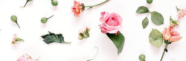 HaleyHanni's profile banner image