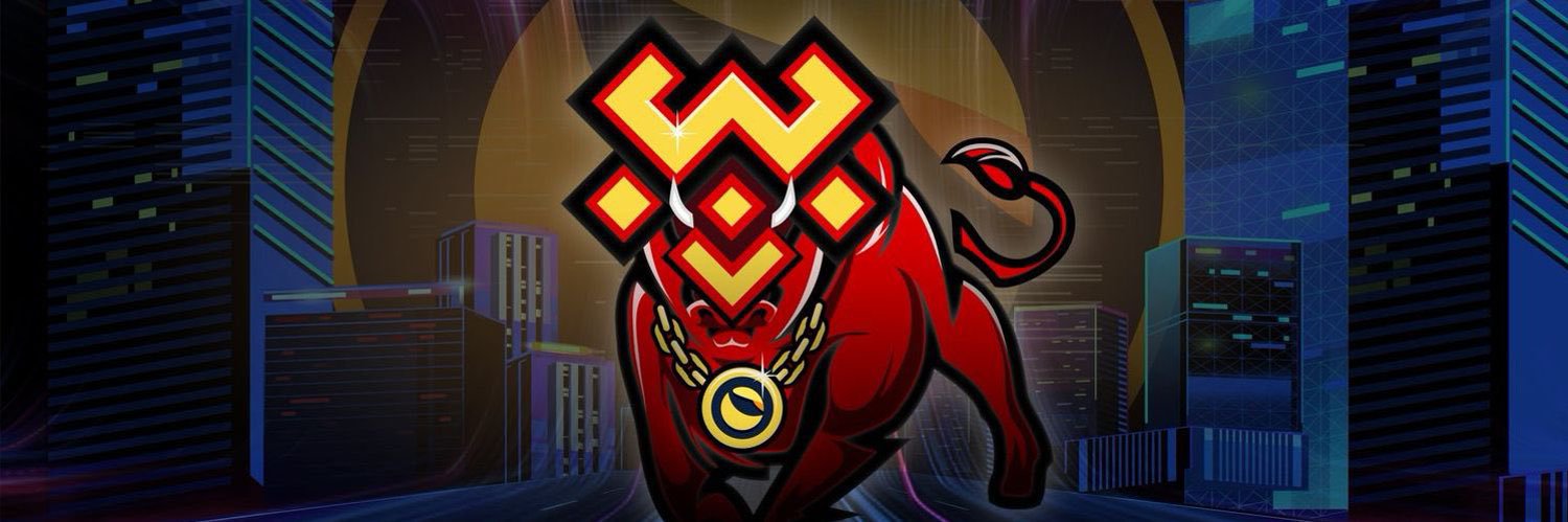 BullIuncdao's profile banner image