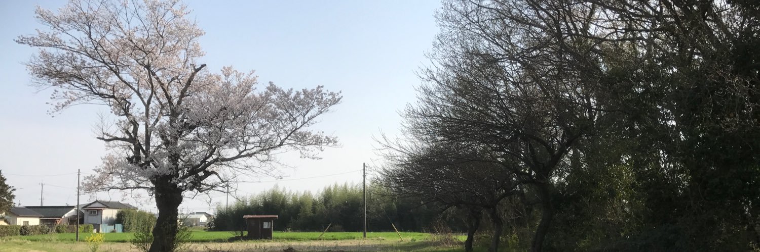 Till_dawns's profile banner image