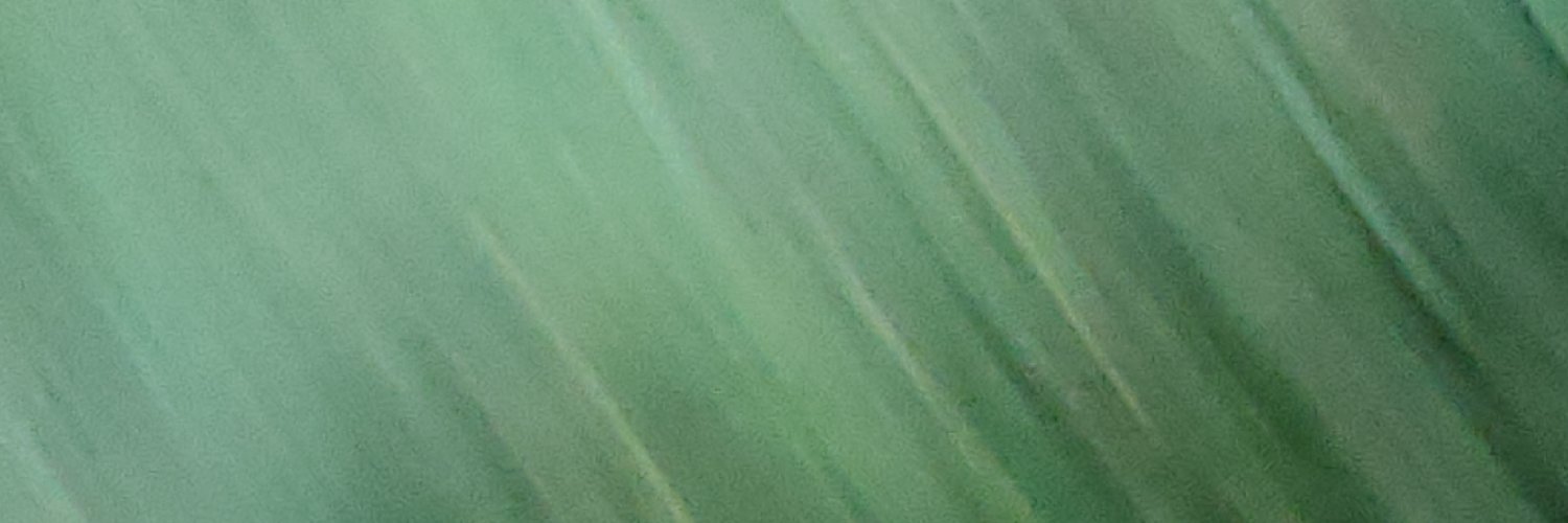 shibishobo's profile banner image