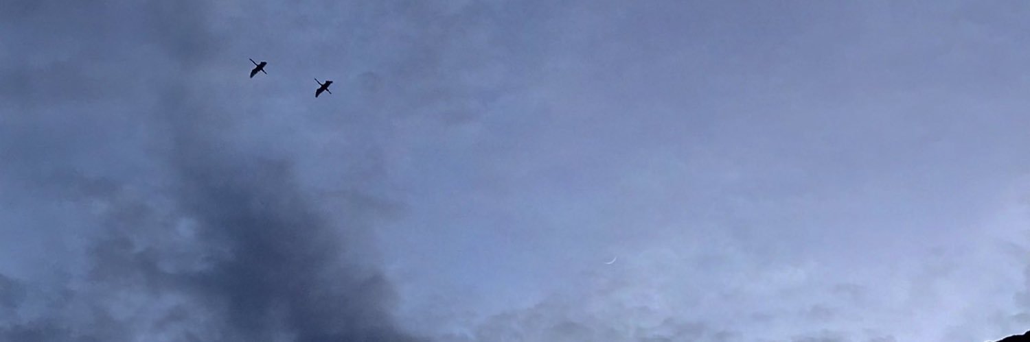 iamSpartaaa's profile banner image