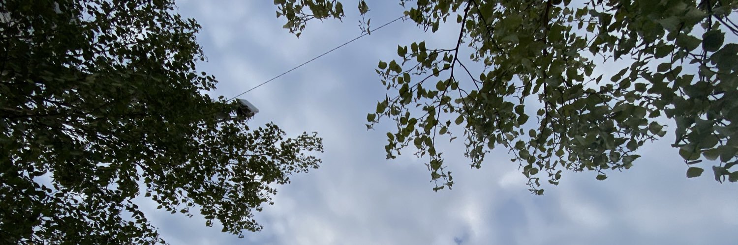 frius_tk's profile banner image