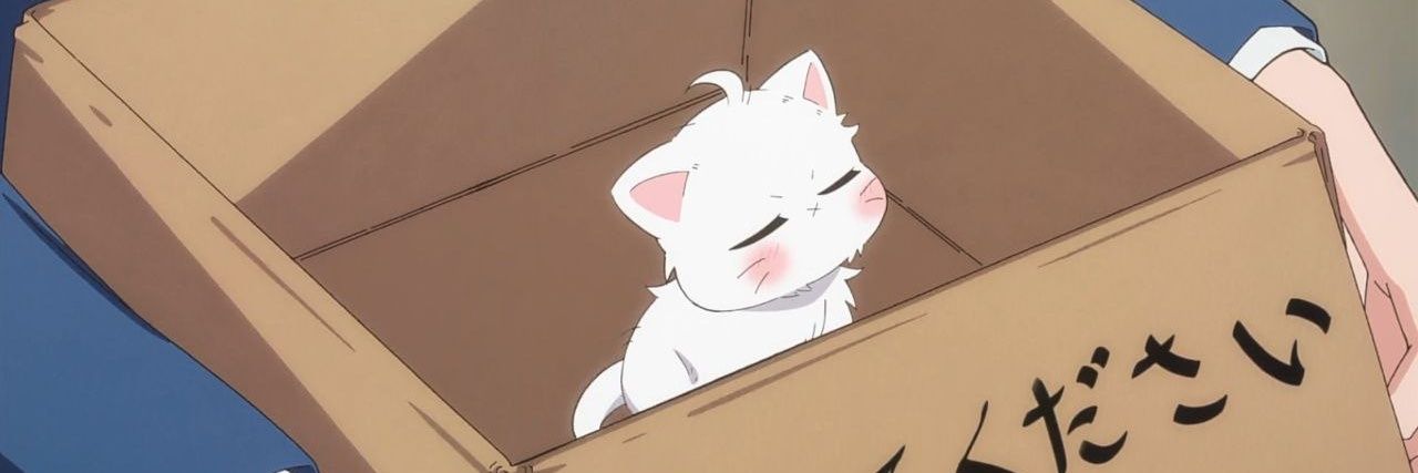 afeenyan's profile banner image