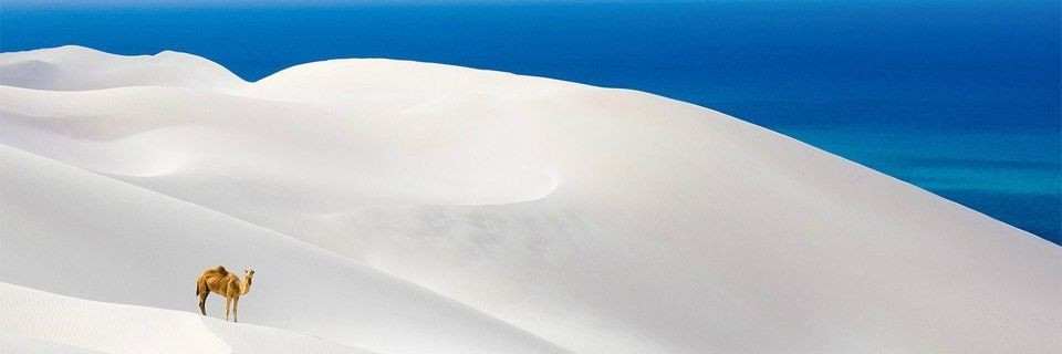 Bibars78's profile banner image