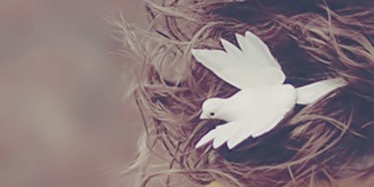 hamsadafeah2's profile banner image