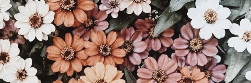 EmilyPalansky's profile banner image