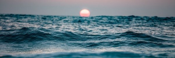 kimfriedmans Profile Banner