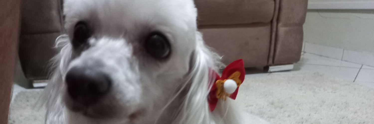alineferigatti's profile banner image