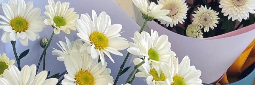 あるふぉると banner