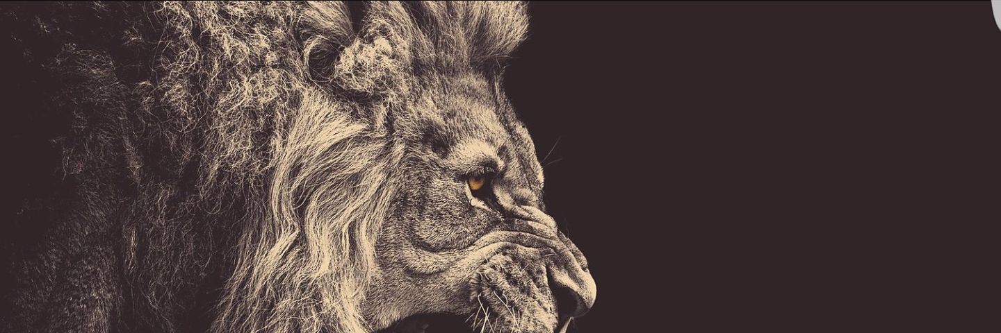 isaiah_jrod's profile banner image