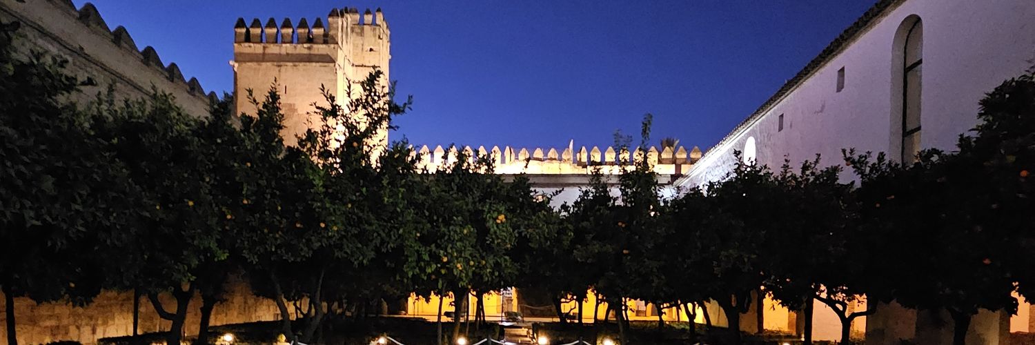 𝓝𝓪𝓼𝓲𝓻 banner