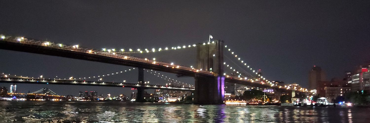 🔮 bullish.avax🔺🔺 banner