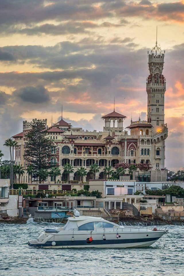 enghaleimmug's profile banner image