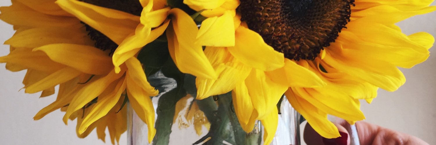 lifewithlupe's profile banner image