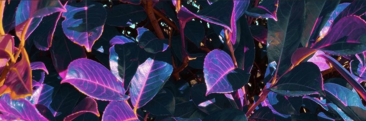 KTHiGHROLLER's profile banner image