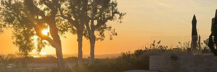 Patience_589's profile banner image