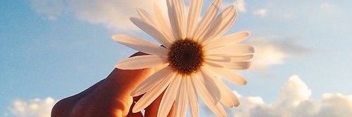 caj_3121's profile banner image