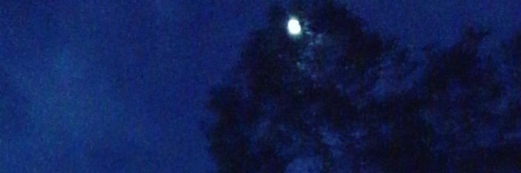 ivysaura's profile banner image