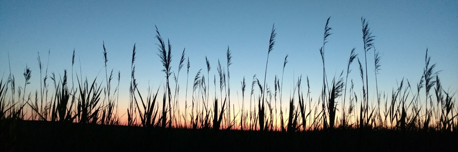 DENISEVINCENT14's profile banner image